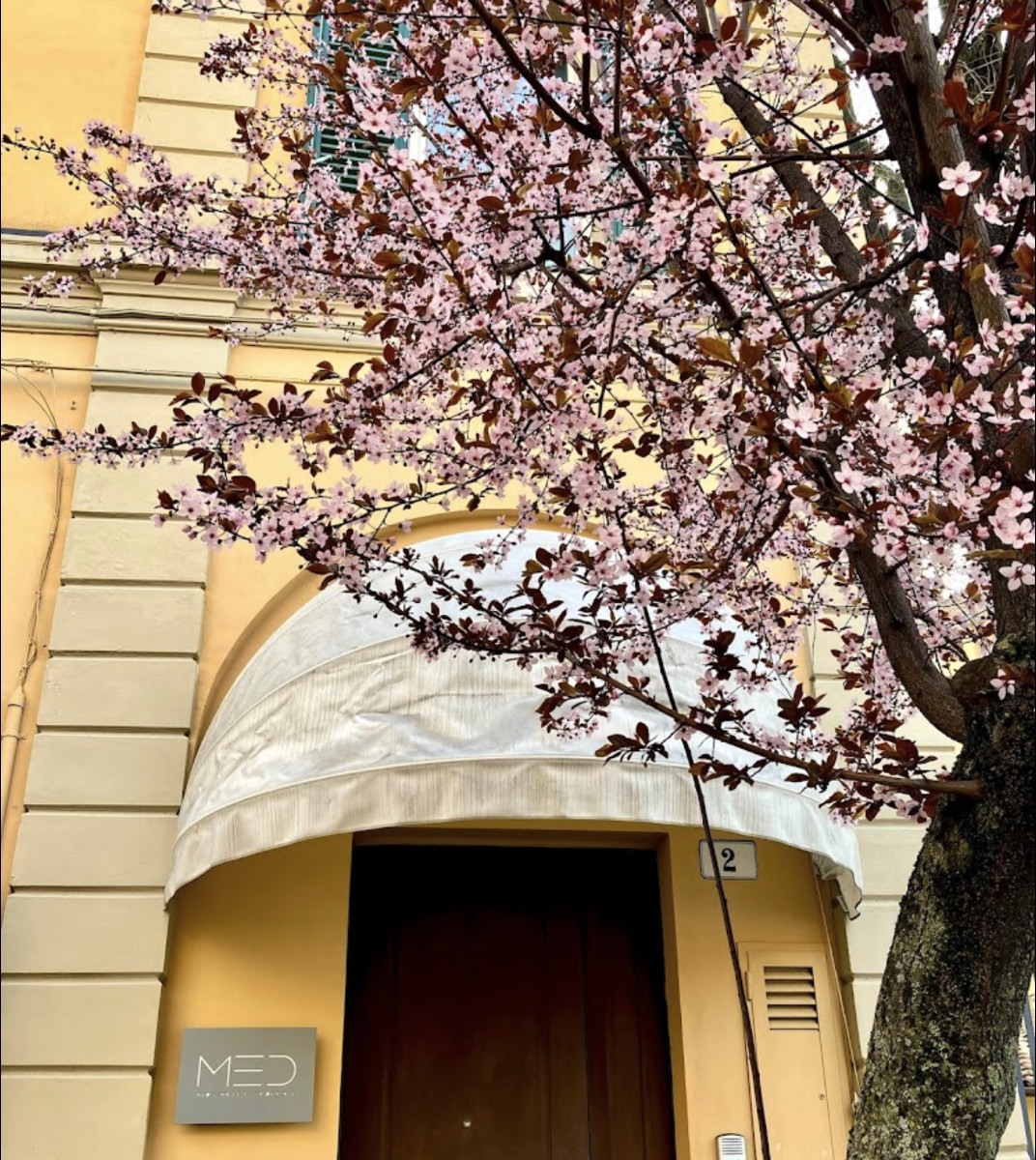 Studio MED — foto 1